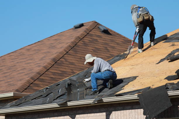 Best Steel Roofing  in Sangaree, SC